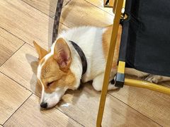 -天井·丑面包搭咖啡