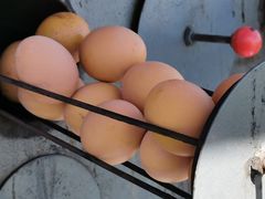 -扁都口生态休闲旅游区