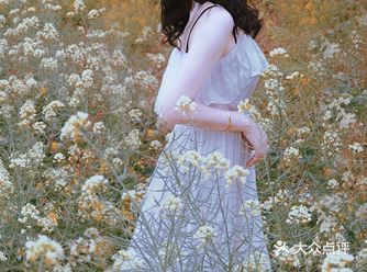 全城热恋:重庆主城最全油菜花海地图攻略