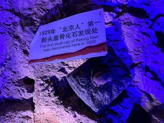 -周口店北京人遗址公园