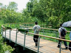 -西湖风景区-江洋畈生态公园