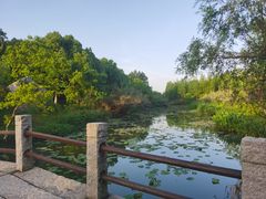 -瑶湖郊野森林公园