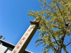 -徐州龟山景区