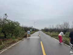 -千年枣林游览区