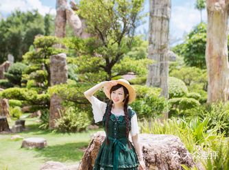 深圳｜穿越回一亿年前的森林