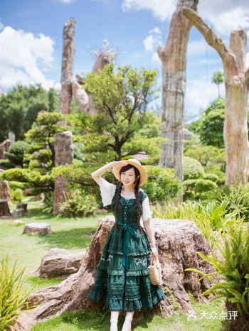 深圳｜穿越回一亿年前的森林