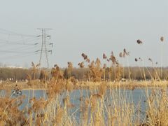 -丁香湖公园