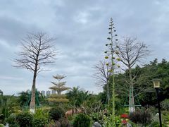 -东莞植物园