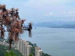-千岛湖天屿景区