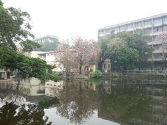 -黄埔古港