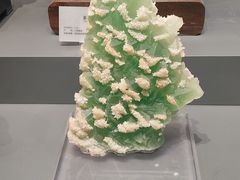 -湖南省地质博物馆