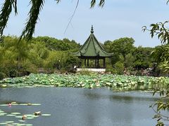 -无锡蠡湖国家湿地公园-蠡园