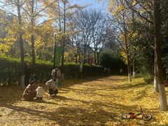 -城市运动公园(未央区)