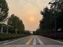 -金海湾滨江公园