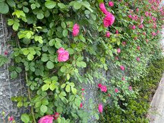 -芳华路(地铁站)