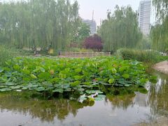 -丰台科技园生态主题公园