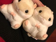 -LLJ夹机占(正佳广场店)
