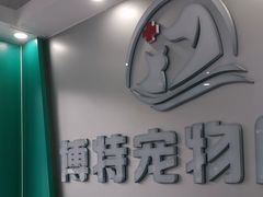 -博特宠物医院24h犬猫全科.骨科·异宠