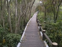 -新江湾城公园