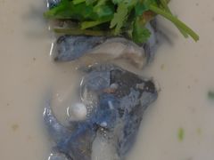 -全乐鱼馆·淳牌有机鱼直营店