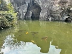 -柯岩风景区