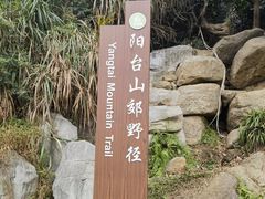 -阳台山森林公园