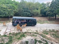 -深圳野生动物园