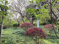 -乌山风景区