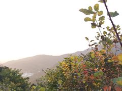 -香山公园