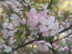 -共青国家森林公园-售票处