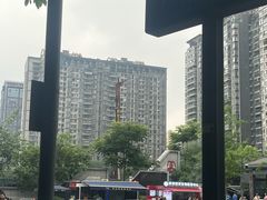 -李雪火锅食府(宽窄巷子总店)