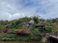-沐川竹海旅游景区