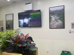 -美联众合动物医院·24h转诊中心