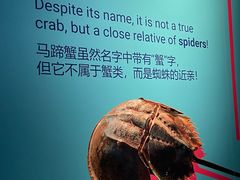 -新加坡海洋生态馆