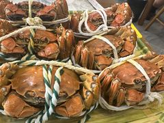 -蟹天蟹地农家菜·阳澄湖大闸蟹(浅水湾店)