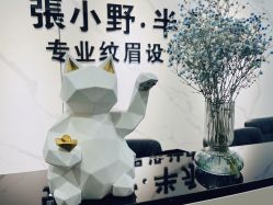 点击看大图 -张小野·专业半永久纹眉