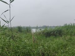 -绿堤公园