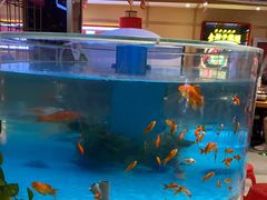-辣得叫湘菜(四明店)
