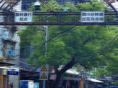 -溪岸路花鸟市场