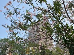 -百签宫串串香重庆火锅(夏湾店)