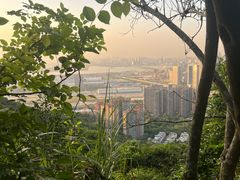 -小南山公园