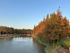 -广东花都湖国家湿地公园