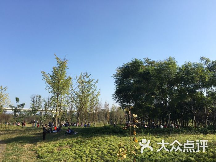 白鹭湾印象花园图片 - 第113张