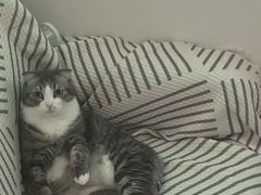 -博特宠物医院24h犬猫全科.骨科·异宠