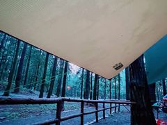 -重庆睡佛山森林公园