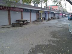 -哈尔滨道外花鸟鱼市场