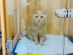 -美联众合动物医院(·中兽医·疑难杂症·严家桥分院)