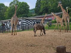 -大连森林动物园