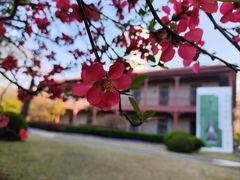 -上海交通大学董浩云航运博物馆