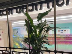 -旺顺阁鱼头泡饼(常营店)